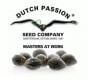 Dutch Passion
